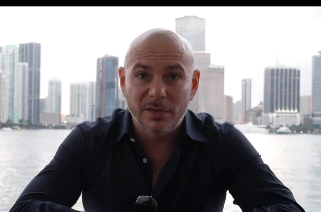Pitbull